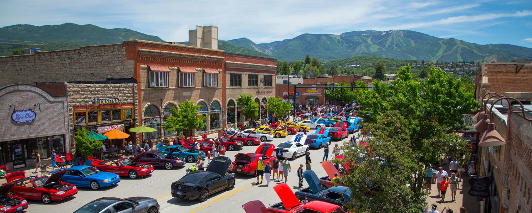 Mustang roundup